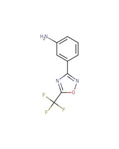 Astatech 3-(5-(TRIFLUOROMETHYL)-1,2,4-OXADIAZOL-3-YL)ANILINE; 1G; Purity 95%; MDL-MFCD12191360